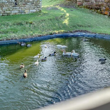 Paddy Waddells Rest * Glaisdale